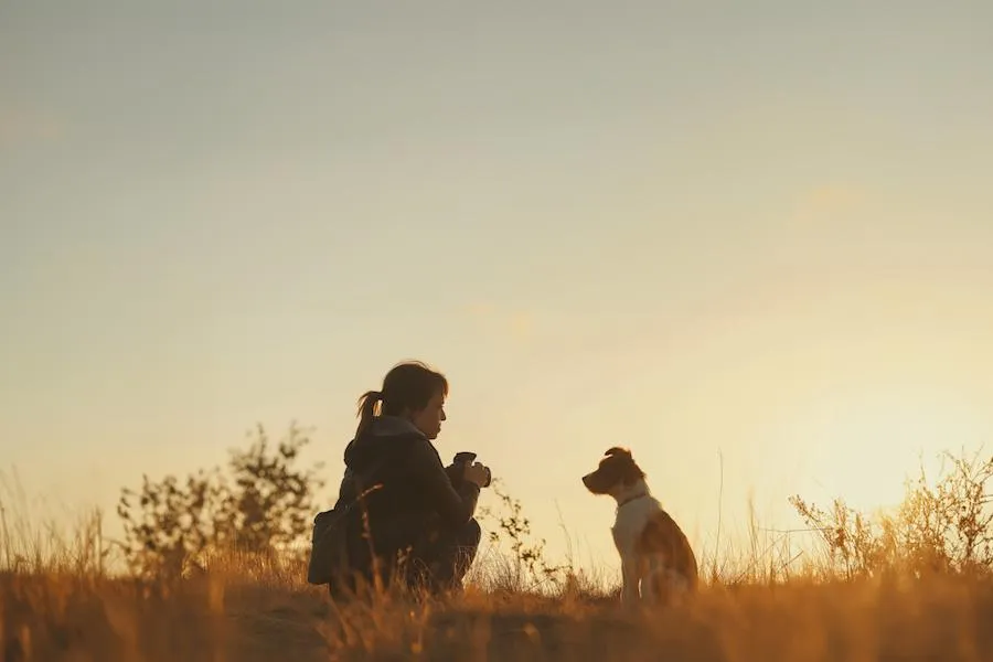 AI magic eraser to clean up picture