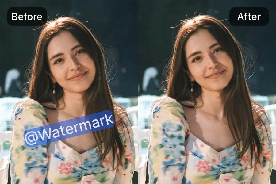 AI watermark remover