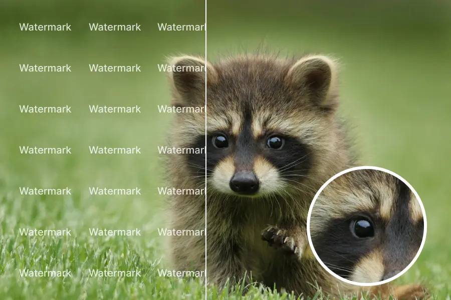 Remove watermark without blur